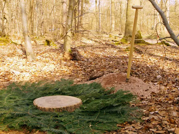 Friedwald